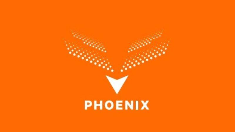 فينيكس غروب