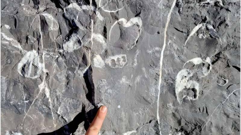 صخور عمرها 380 مليون سنة تكشف مناخ الماضي