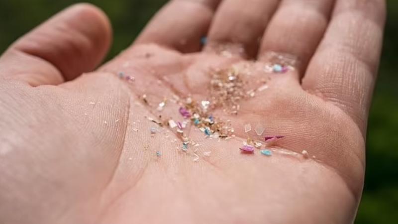 اللدائن الدقيقة