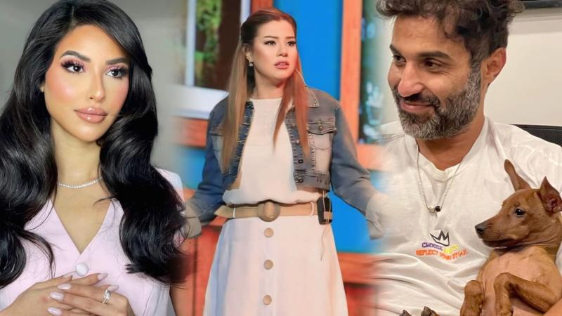 بسبب الكلاب.. حملة من فناني مصر ضد كلية الطب البيطري