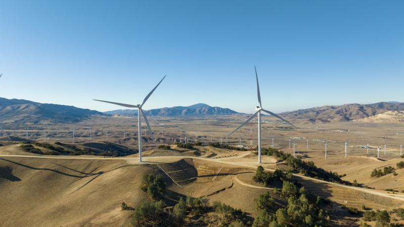 «آرثر دي ليتل»: 5 تقنيات لتعزيز النمو الأخضر المستدام في المناطق شديدة الجفاف