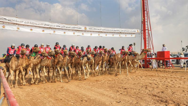 38 متسابقاً من 25 جنسية.. والذهب لبريطانيا والصين في ماراثون رحلة الهجن