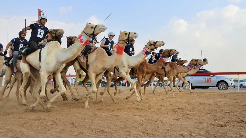 38 متسابقاً من 25 جنسية.. والذهب لبريطانيا والصين في ماراثون رحلة الهجن