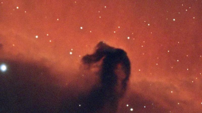 سديم رأس الحصان تصوير: محمد عودة- مرصد الختم الفلكي