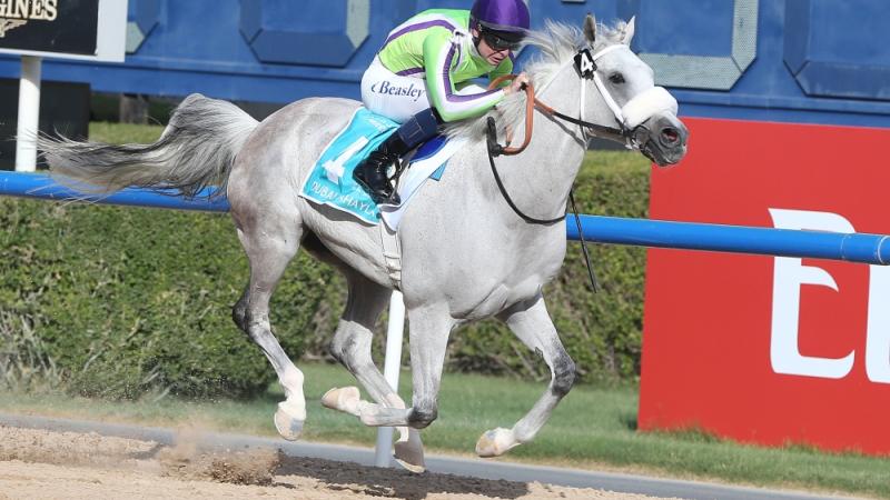 مونديال الخيول العربية يبتسم لأمريكا