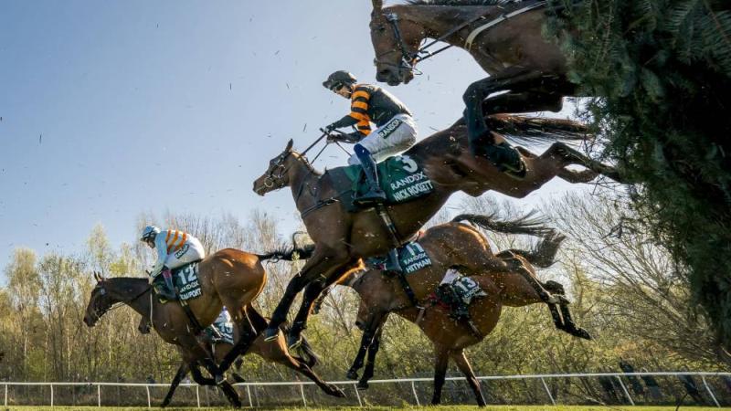 إيقاف بطل سباق غراند ناشيونال للخيول لسبب غريب | صحيفة الخليج