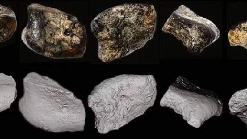 اكتشاف جمجمة بشرية وحفريات حيوانية تعود إلى 140 ألف عام
