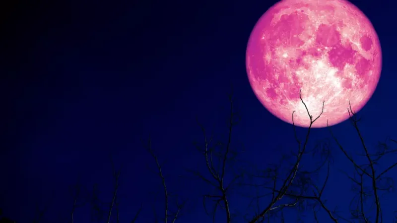 سماء الإمارات تشهد قمر الفراولة النادر لأول مرة منذ 18 عاماً