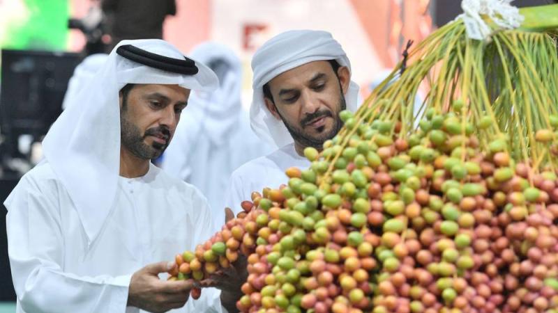 مهرجان ليوا للرطب