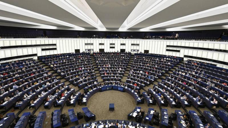 البرلمان الأوروبي يقرّ نصّاً تشريعياً لحماية الكلاب والقطط