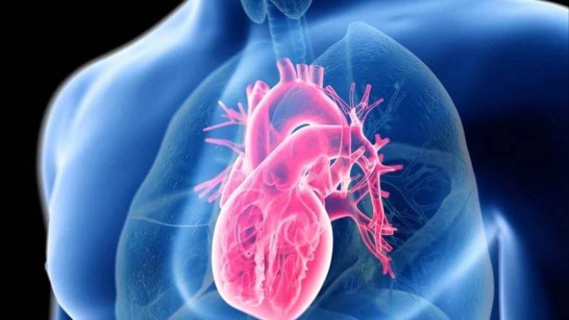 علاج تجريبي يمنع تراكم الكولسترول في خلايا القلب