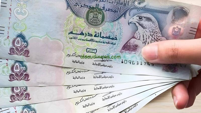 ارتفاع مفاجئ لسعر الدرهم الإماراتي مقابل الجنيه المصري اليوم الاثنين