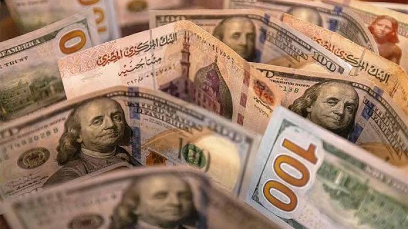 سعر الدولار اليوم مقابل الجنيه.. إليك أسعار العملات في البنوك المصرية