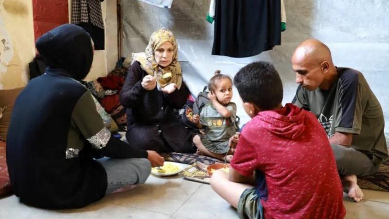 حاملٌ في زمن الحرب.. فاطمة تحلم بمولود سليم في غزة