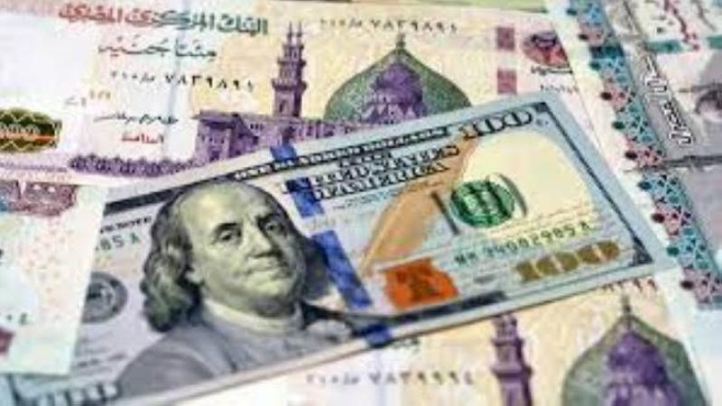 سعر الدولار مقابل الجنيه المصري اليوم.. تعاملات صباح الجمعة 18 يوليو