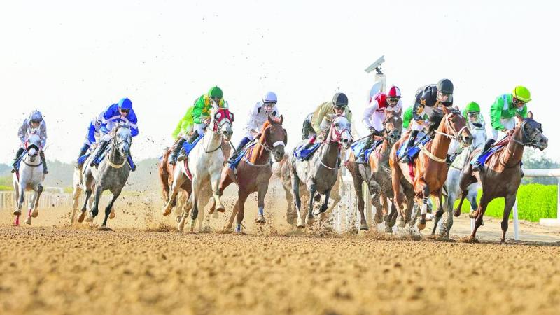 الشارقة تستضيف سباق كأس مجلس التعاون الخليجي للخيل | صحيفة الخليج