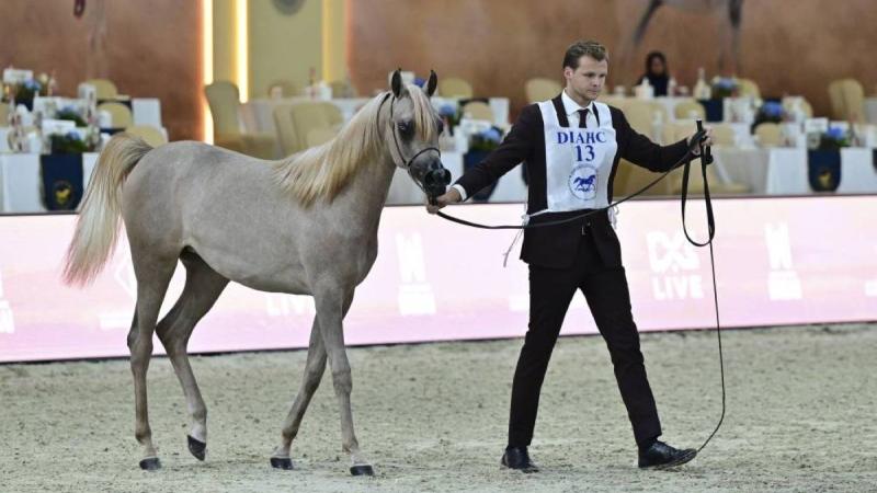 جانب من المنافسات