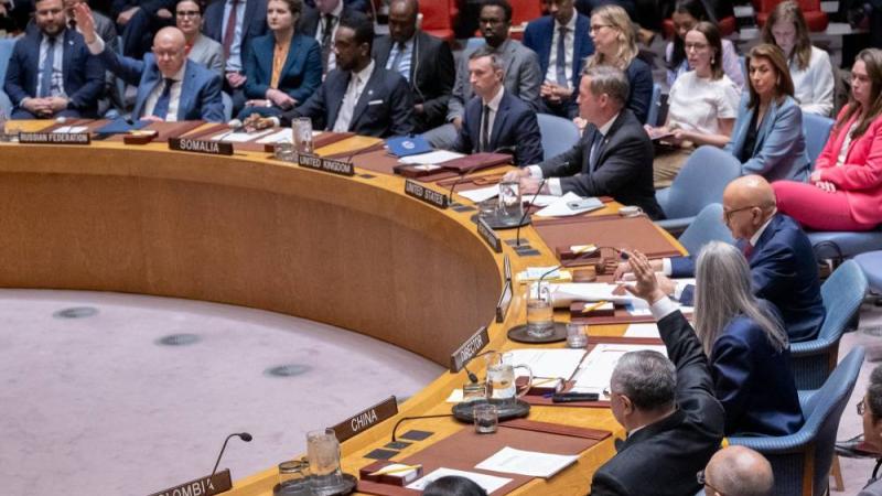 الإمارات تأسف لإخفاق مجلس الأمن في اعتماد قرار يحمي الملاحة في مضيق هرمز