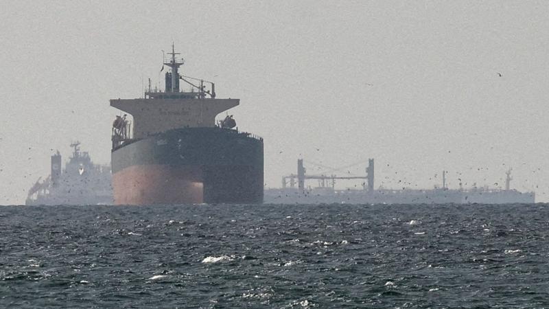 سفن شحن في الخليج العربي قرب مضيق هرمز (11 مارس 2026 / رويترز)