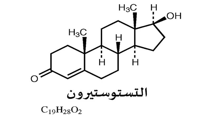 المادة التي تُعد نقطة البداية في إنتاج هرمونات الإستروجين والتستوستيرون هي