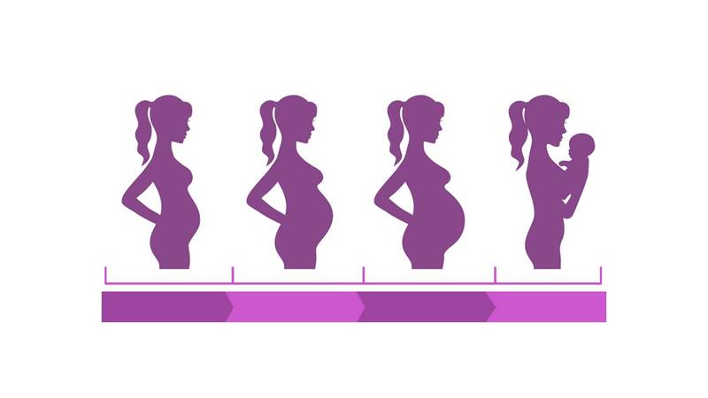 في أي أسبوع يبدأ نبض الجنين