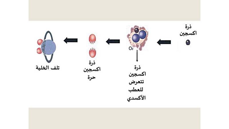 الانتباذ التمييزي صحيفة الخليج