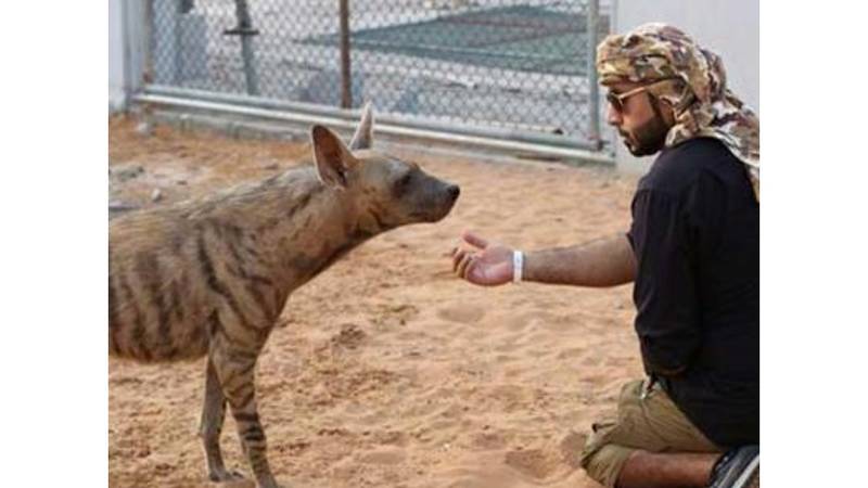 تربية الحيوانات المفترسة هواية تهدد حياة الناس