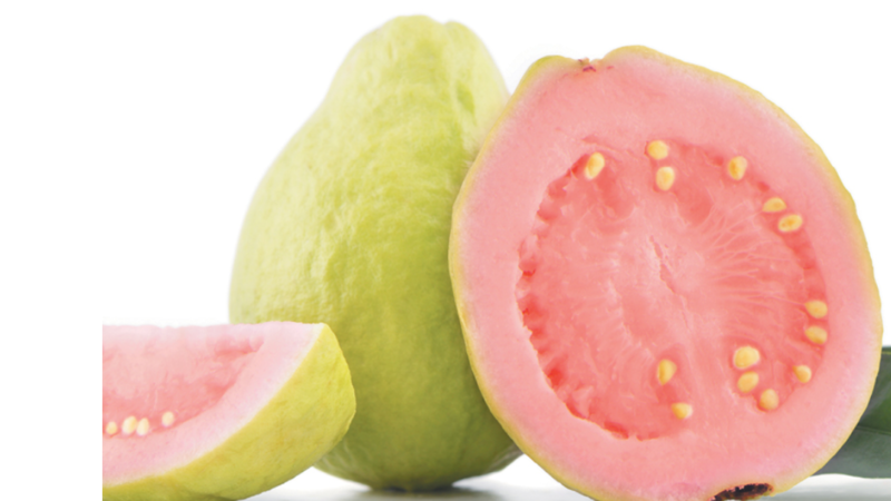 الجوافة أفضل مصدر لفيتامين سي ملحق الصحة و الطب ملاحق الخليج