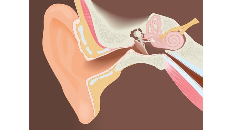 التهابات الأذن المضاعفات والعلاج صحيفة الخليج