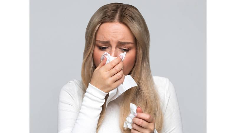 سيلان الأنف تسببه الأمراض المعدية والحساسية صحيفة الخليج