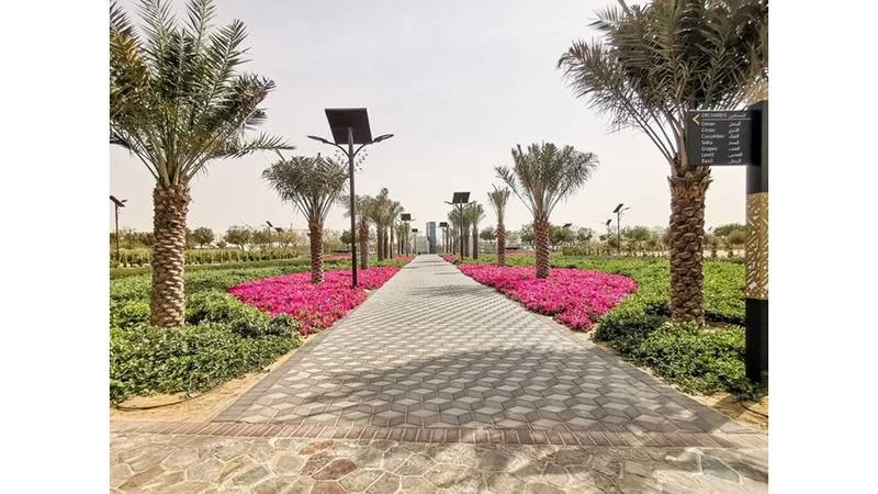 الحديقة القرآنية في دبي بيت المعجزات صحيفة الخليج