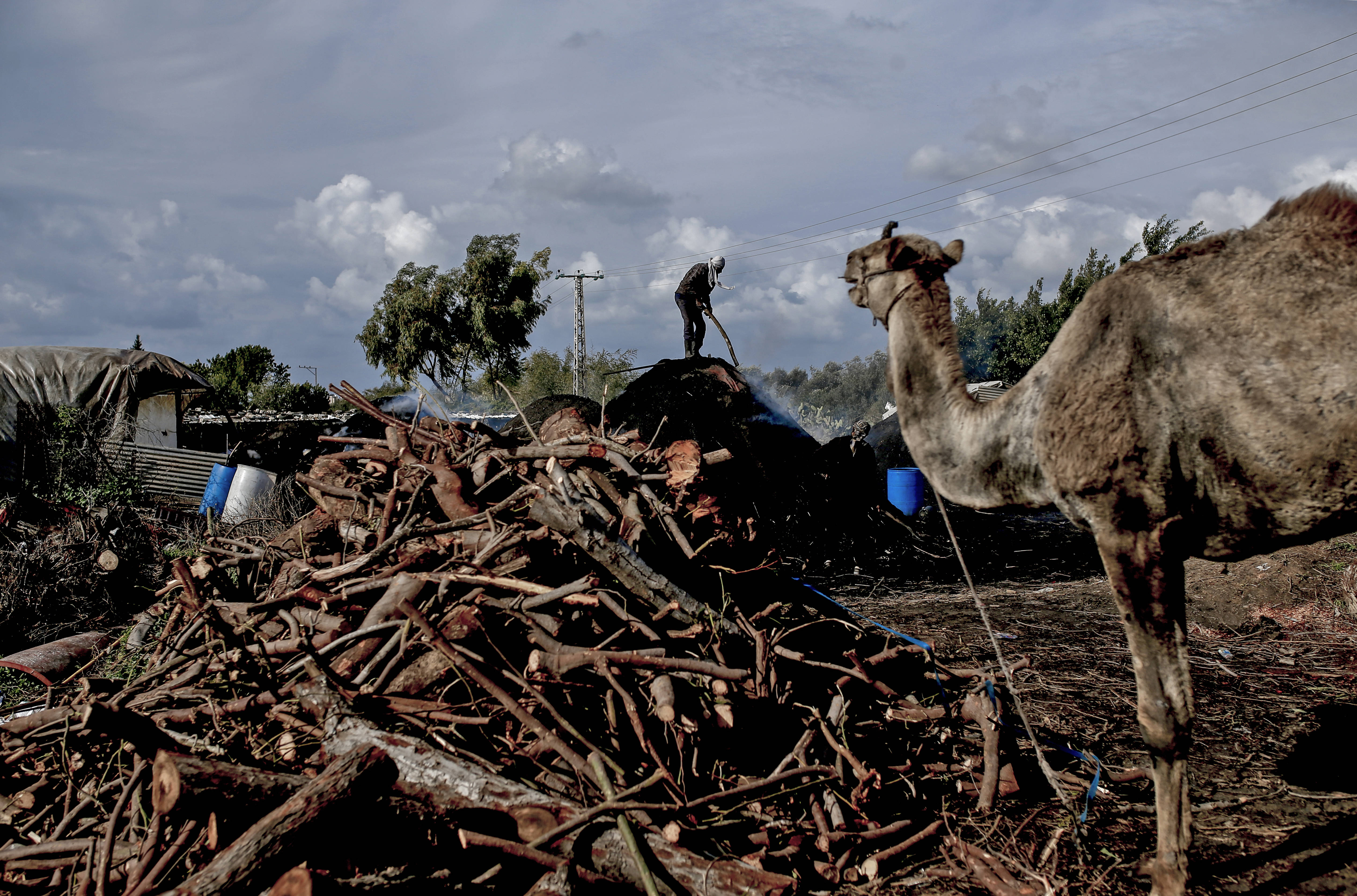 يعمل ثمانية فلسطينيين على مدار العام في منشأة «الحطاب»، أكبر مصنع لإنتاج الفحم في قطاع غز