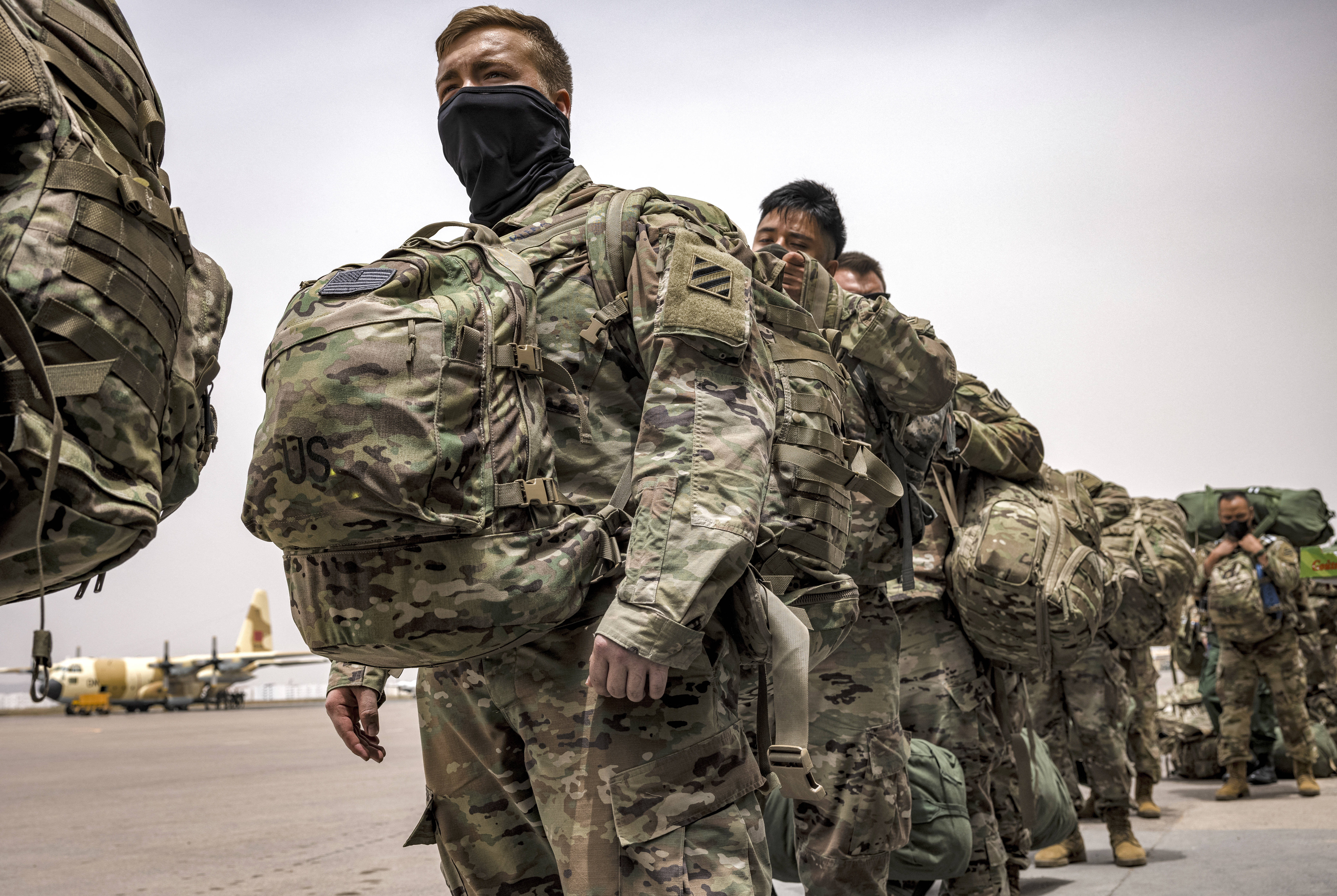 الأسد الإفريقي