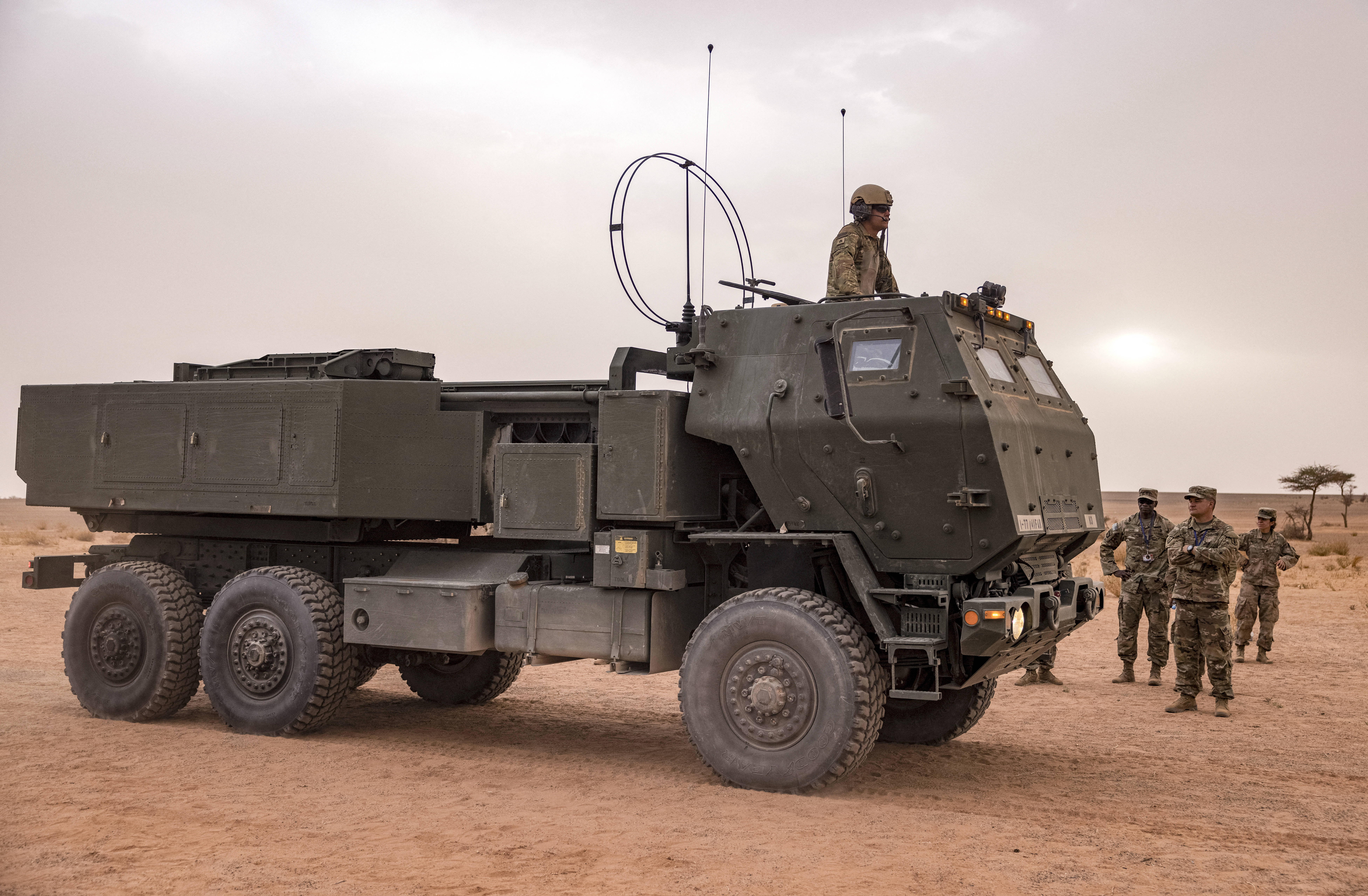 الأسد الإفريقي