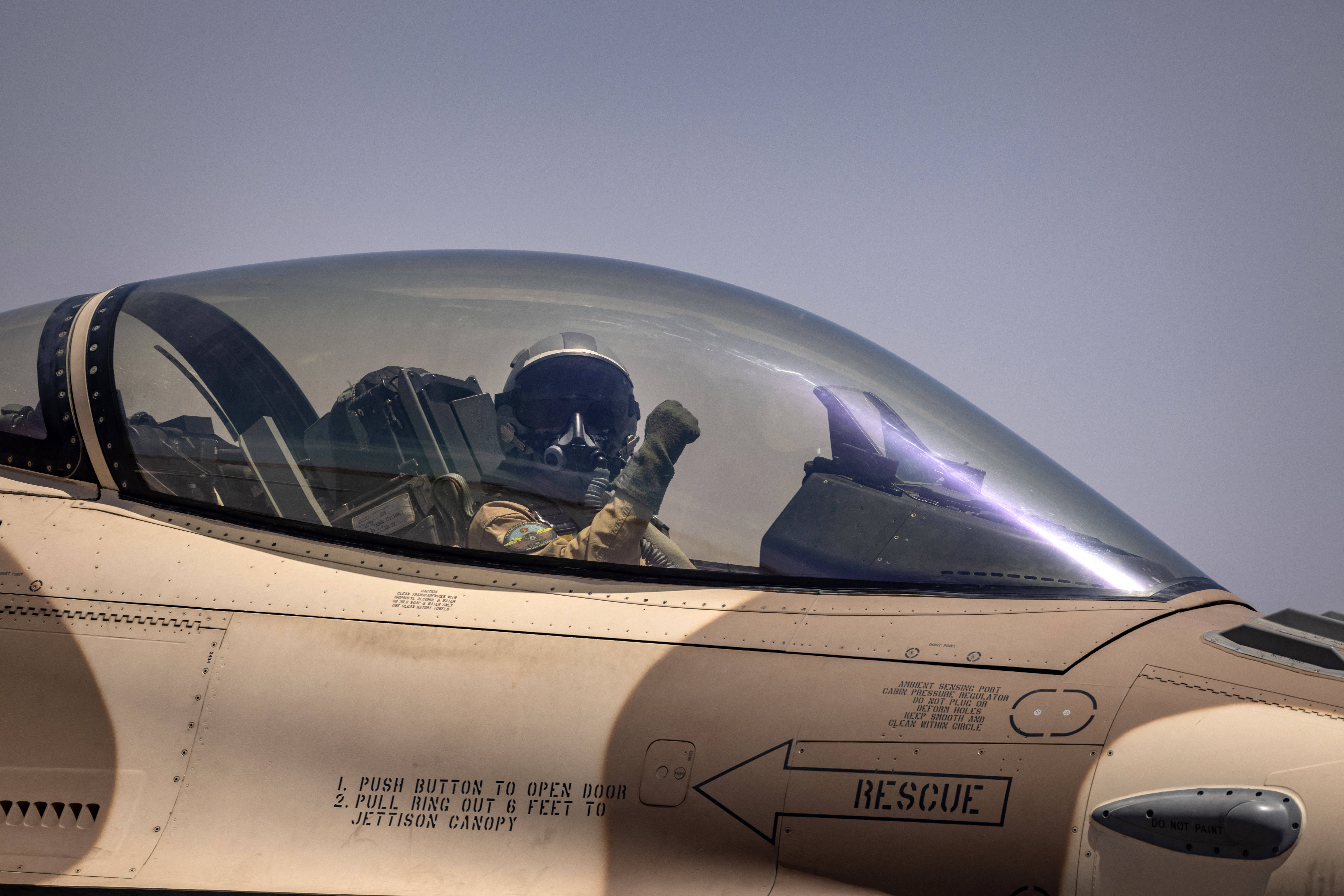 الأسد الإفريقي