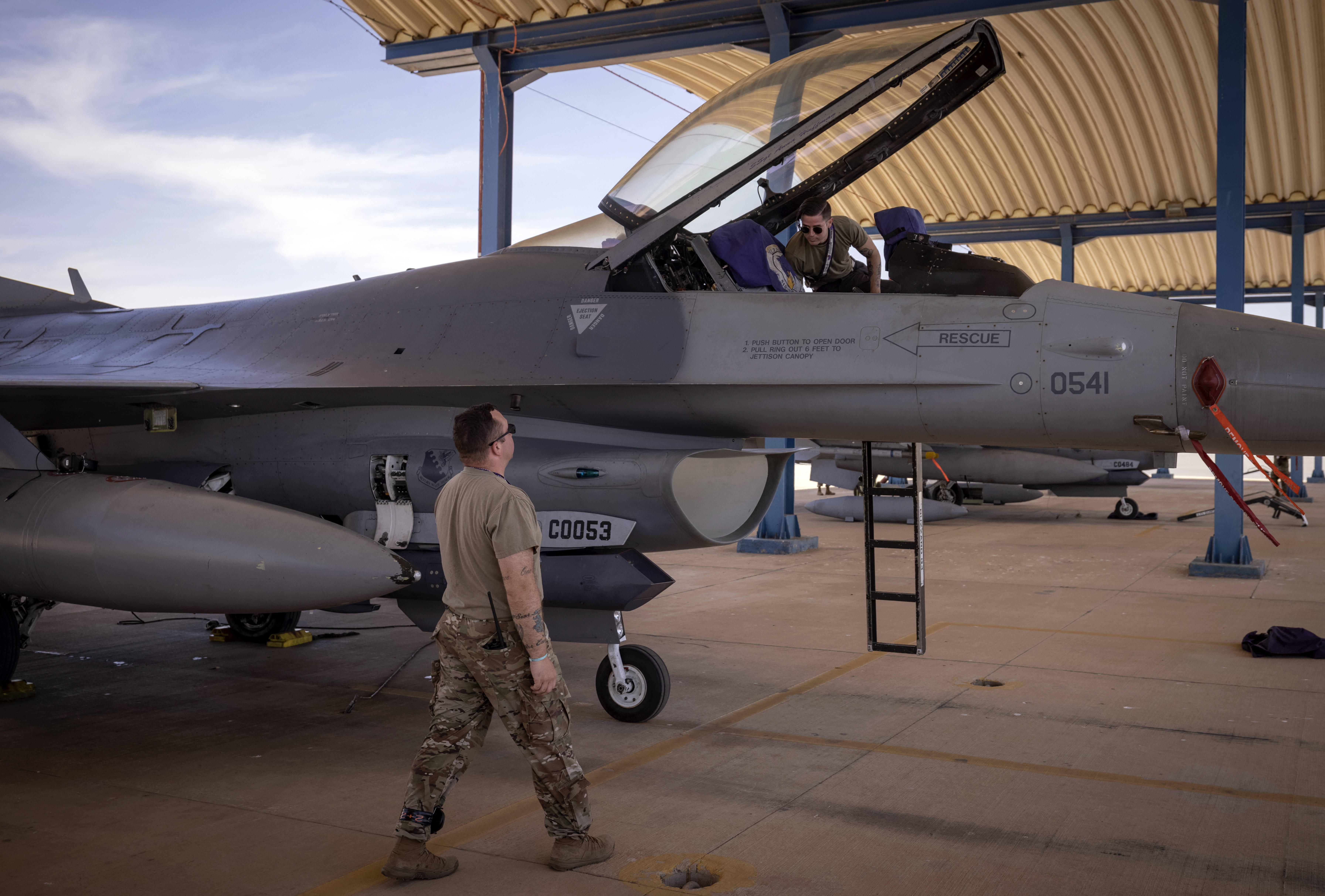 الأسد الإفريقي