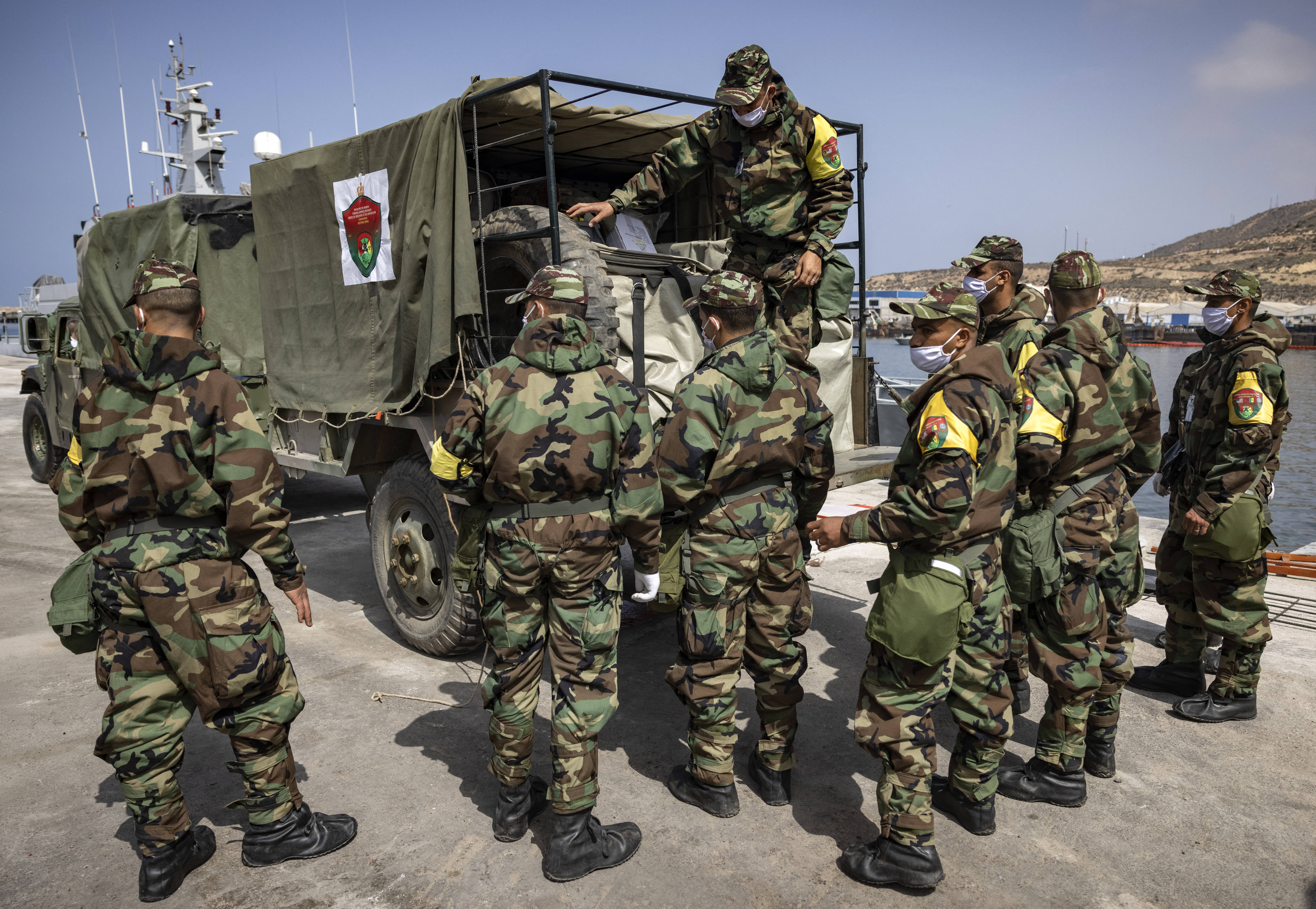 الأسد الإفريقي