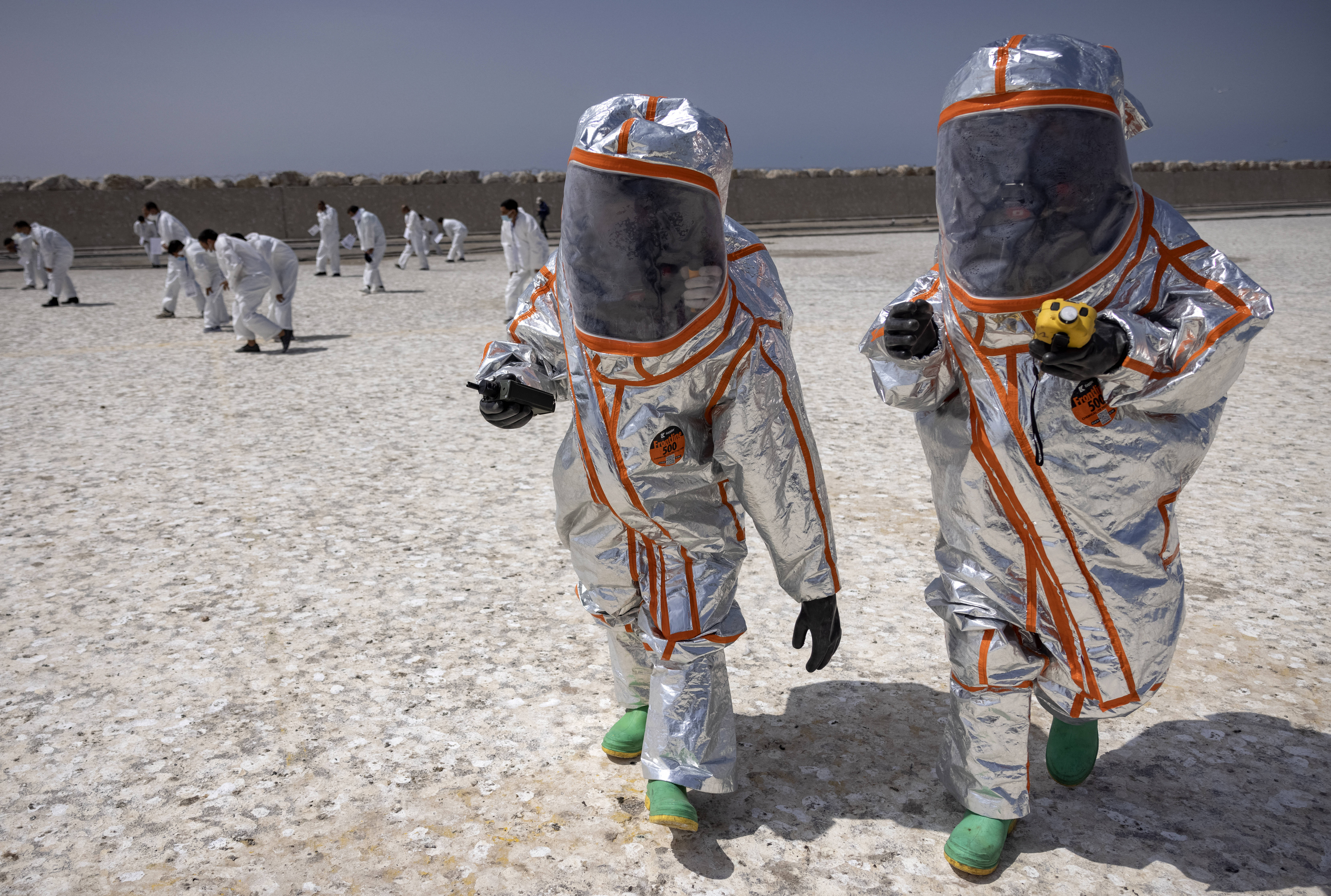 الأسد الإفريقي