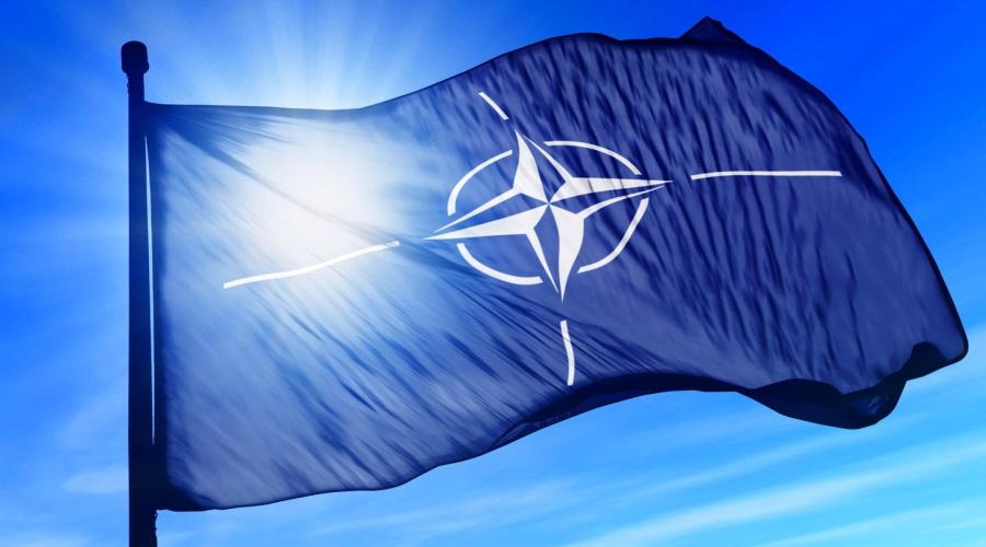 الناتو