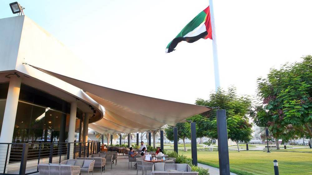 جزيرة العلم