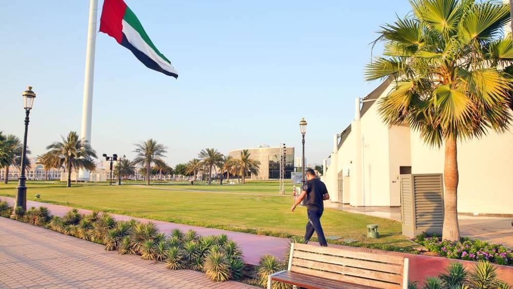 جزيرة العلم