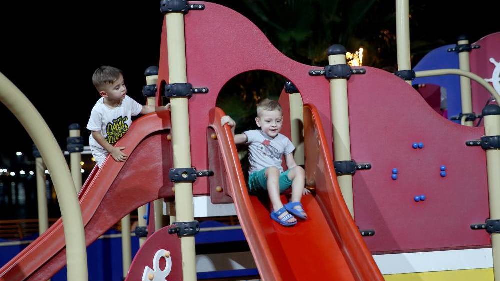 جزيرة العلم