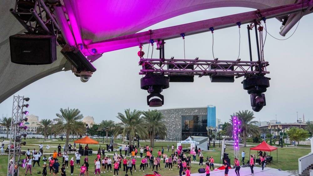 جزيرة العلم