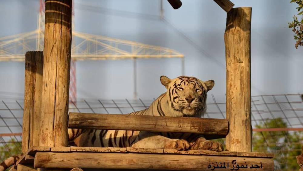 متنزه رأس الخيمة