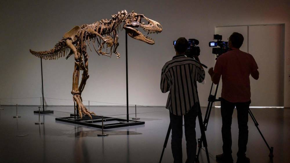 هيكل عظمي لديناصور نادر ينتمي إلى عائلة «تي-ريكس»