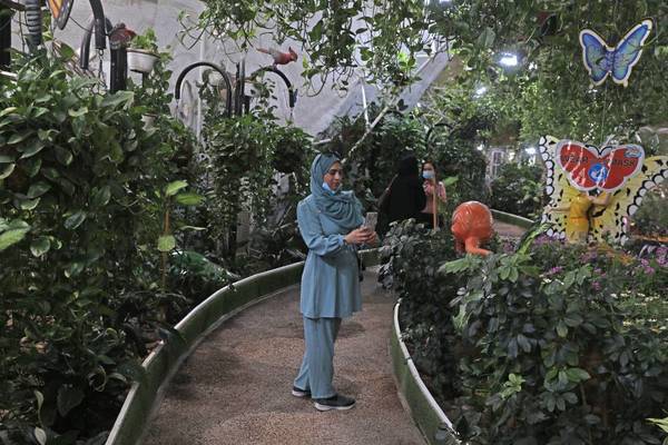 حديقة فراشات دبي