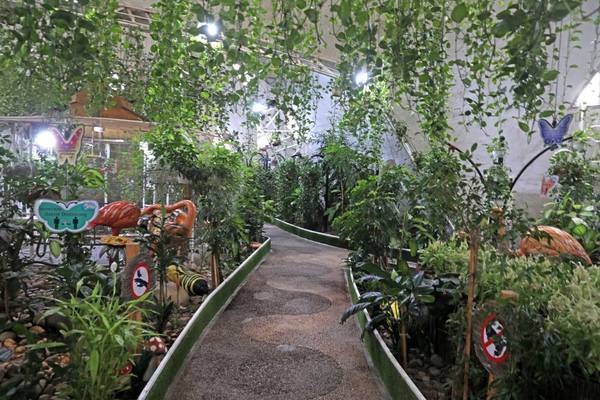 حديقة فراشات دبي