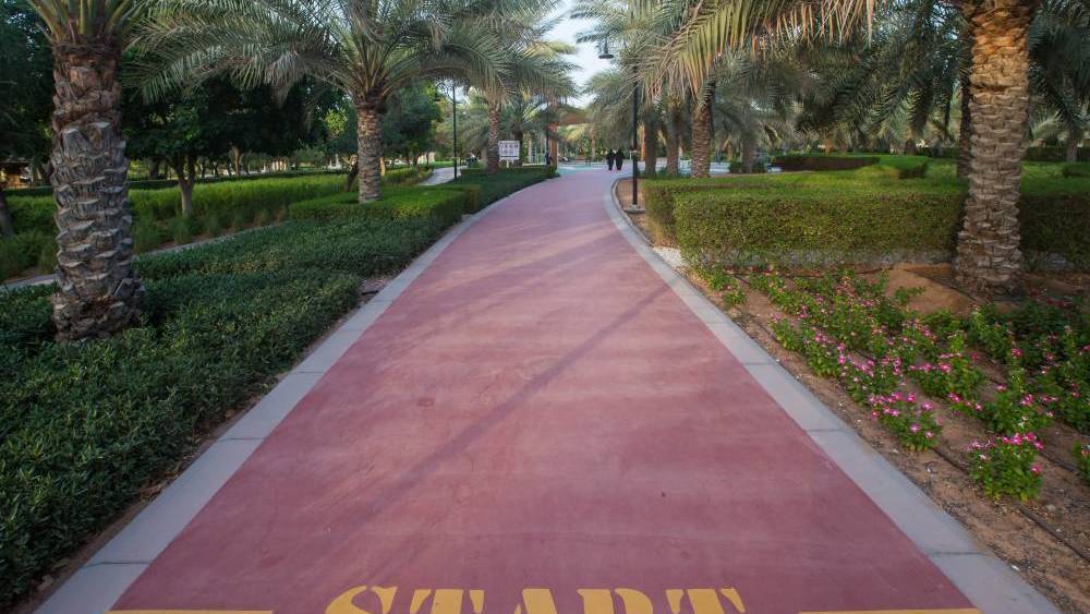 حديقة وادي حتا