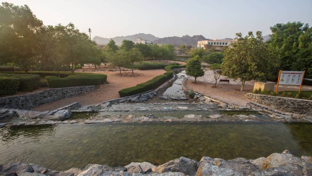 حديقة وادي حتا