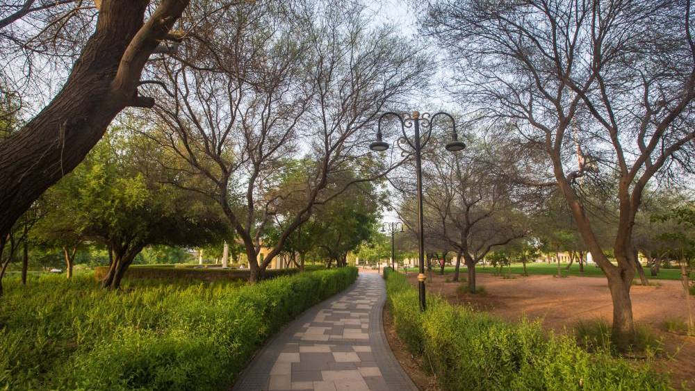 حديقة وادي حتا